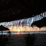 Oasis *