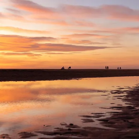 Oasis * Conil De La Frontera