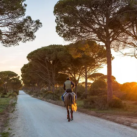 Oasis Conil De La Frontera
