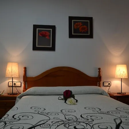 绿洲酒店 科尼尔-德拉弗龙特拉