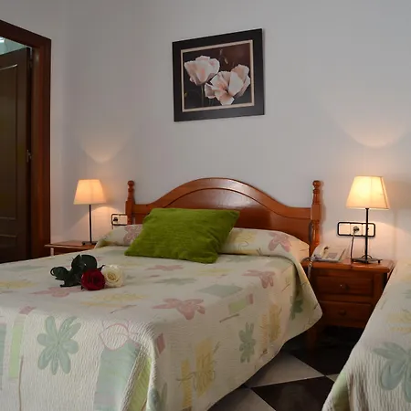 酒店 绿洲酒店 *