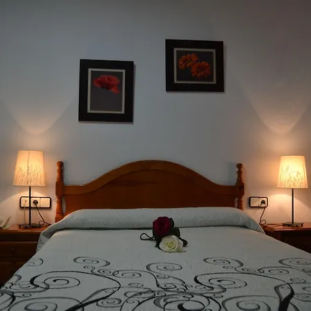 绿洲酒店 科尼尔-德拉弗龙特拉