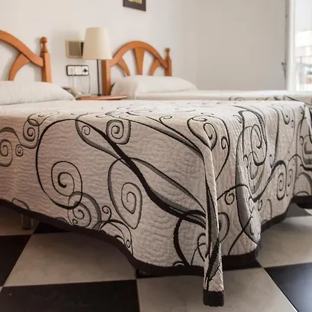 酒店 绿洲酒店 *