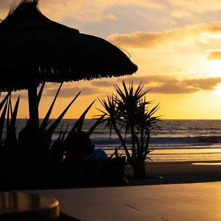 Oasis * Conil de la Frontera